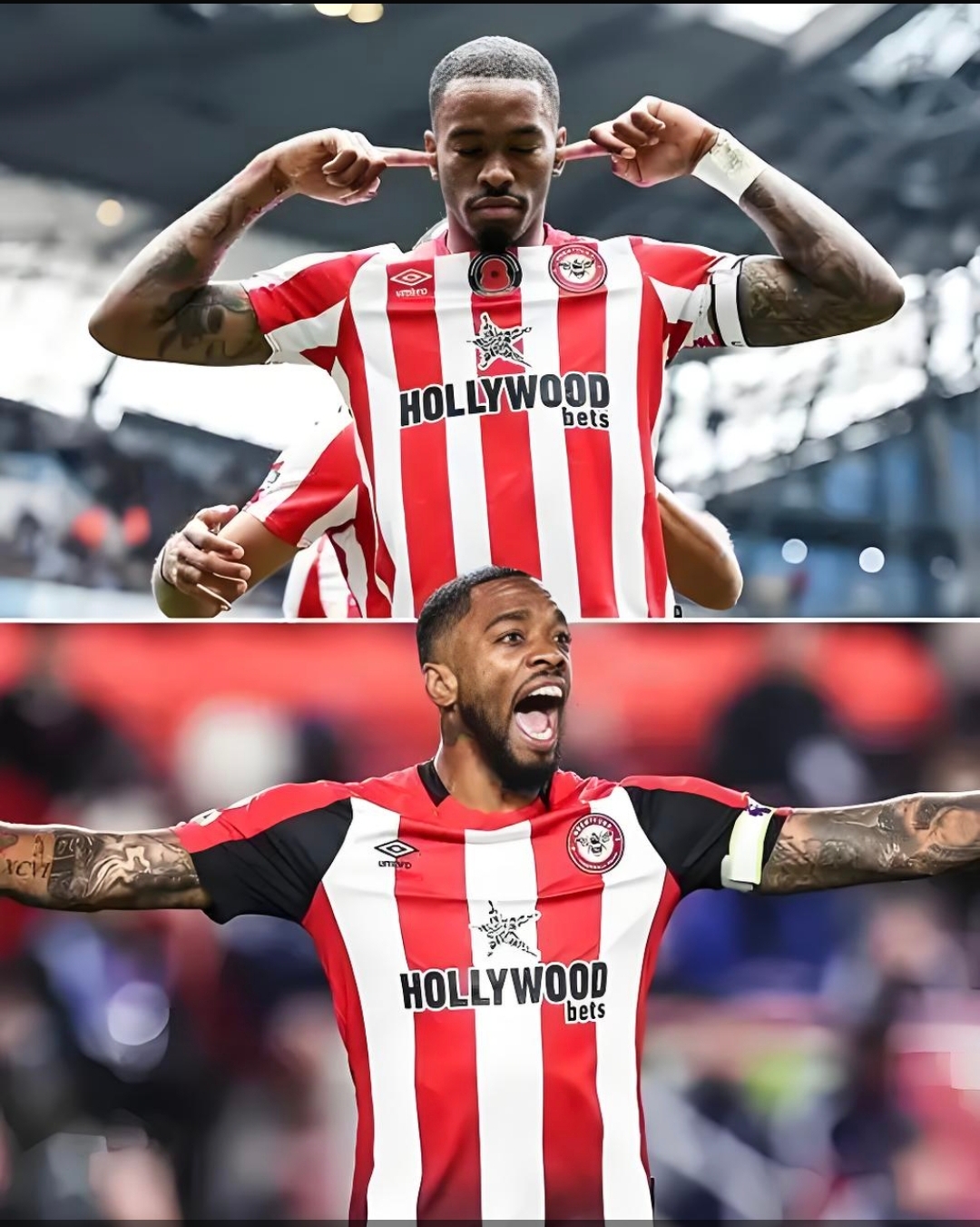 jiuyou-国王杯转会期再迎强敌,纽卡斯尔复出首秀,主帅态度——球迷炸锅,球队文化再被提及的简单介绍